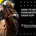 bet punchestown